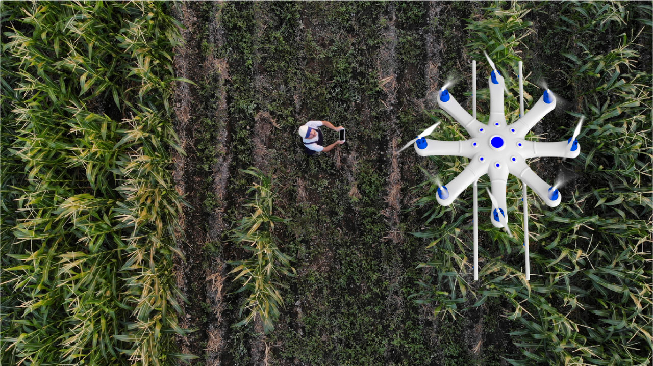 What Are Farmers Using Drones For?